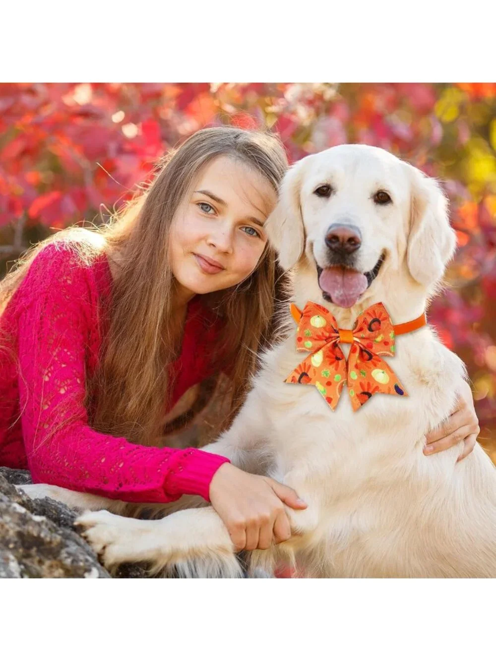 120 Pcs Thanksgiving Dog Bows & Ties - Adjustable Fall Bowties for Pets